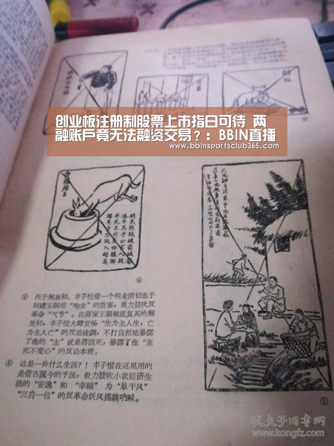 BBIN体育