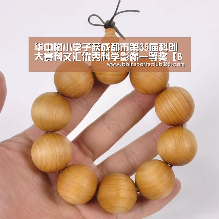 BBIN体育