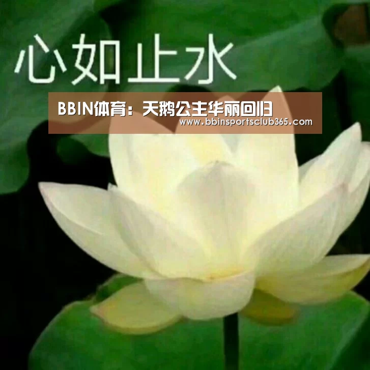 BBIN入口