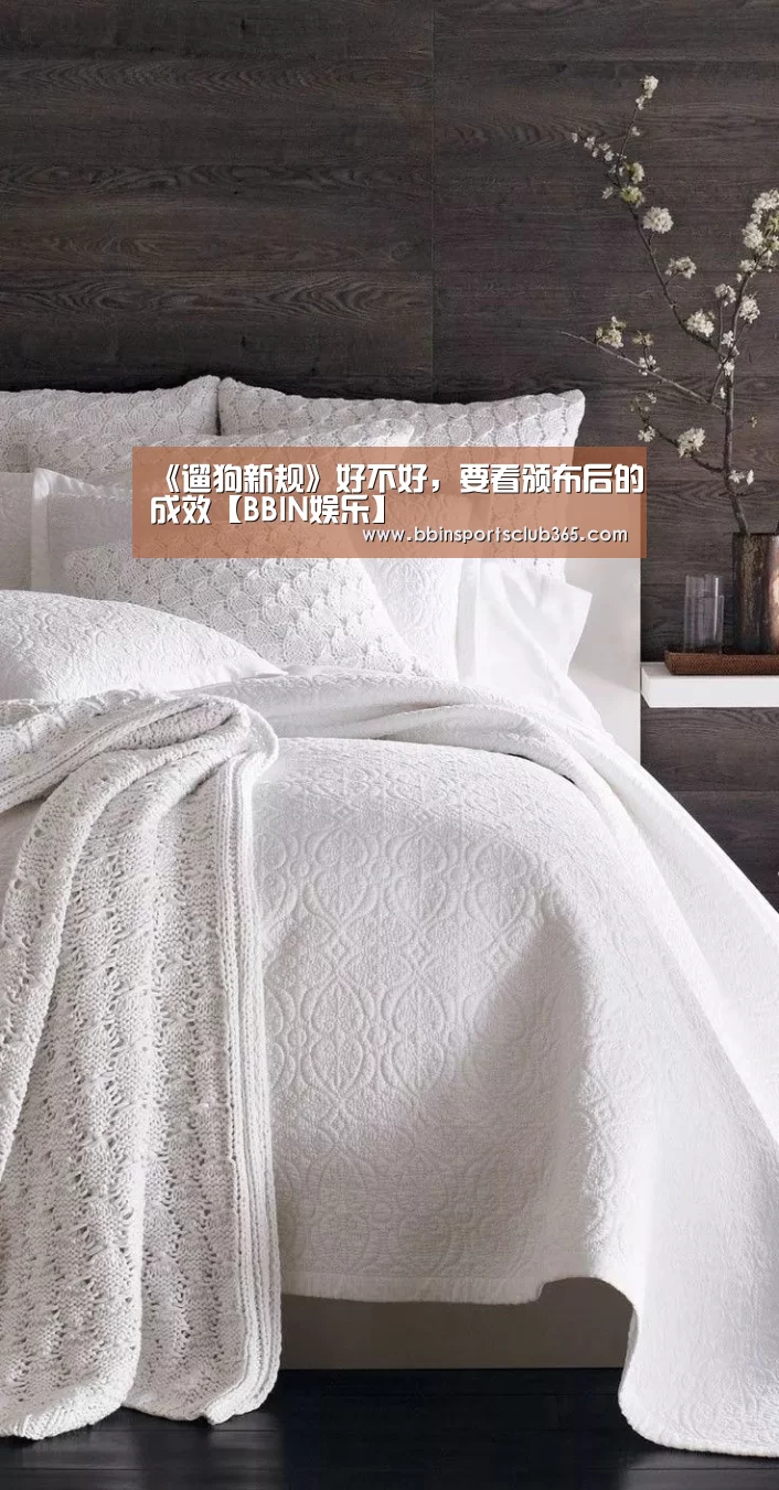 《遛狗新规》好不好,要看颁布后的成效【BBIN娱乐】(图2) BBIN直播