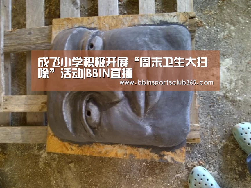 成飞小学积极开展“周末卫生大扫除”活动|BBIN直播(图1) BBIN直播