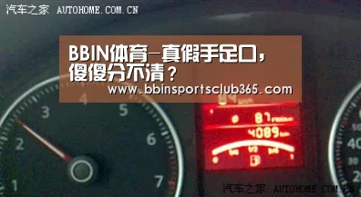 BBIN体育