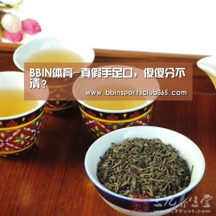 BBIN直播
